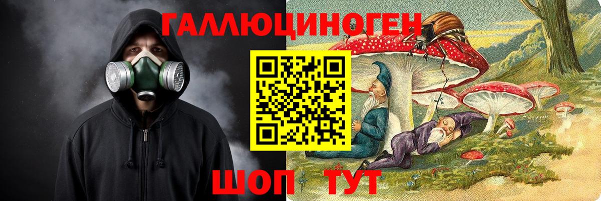 Псилоцибиновые грибы Psilocybe Сызрань
