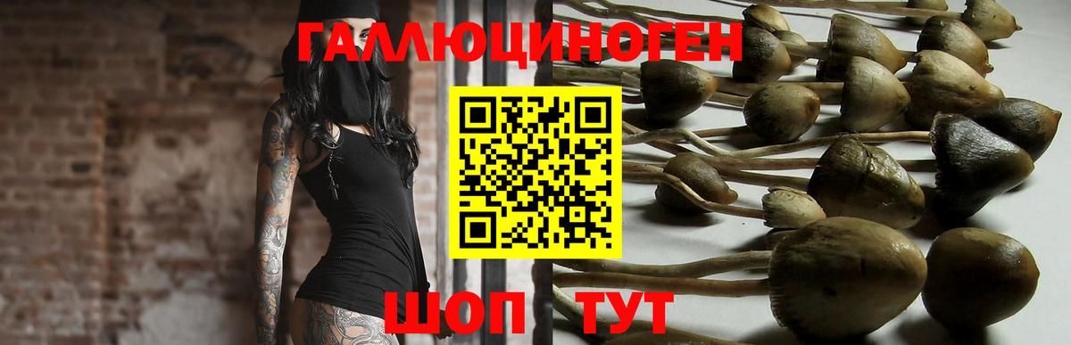Псилоцибиновые грибы мухоморы  Вход с VPN  Сызрань 